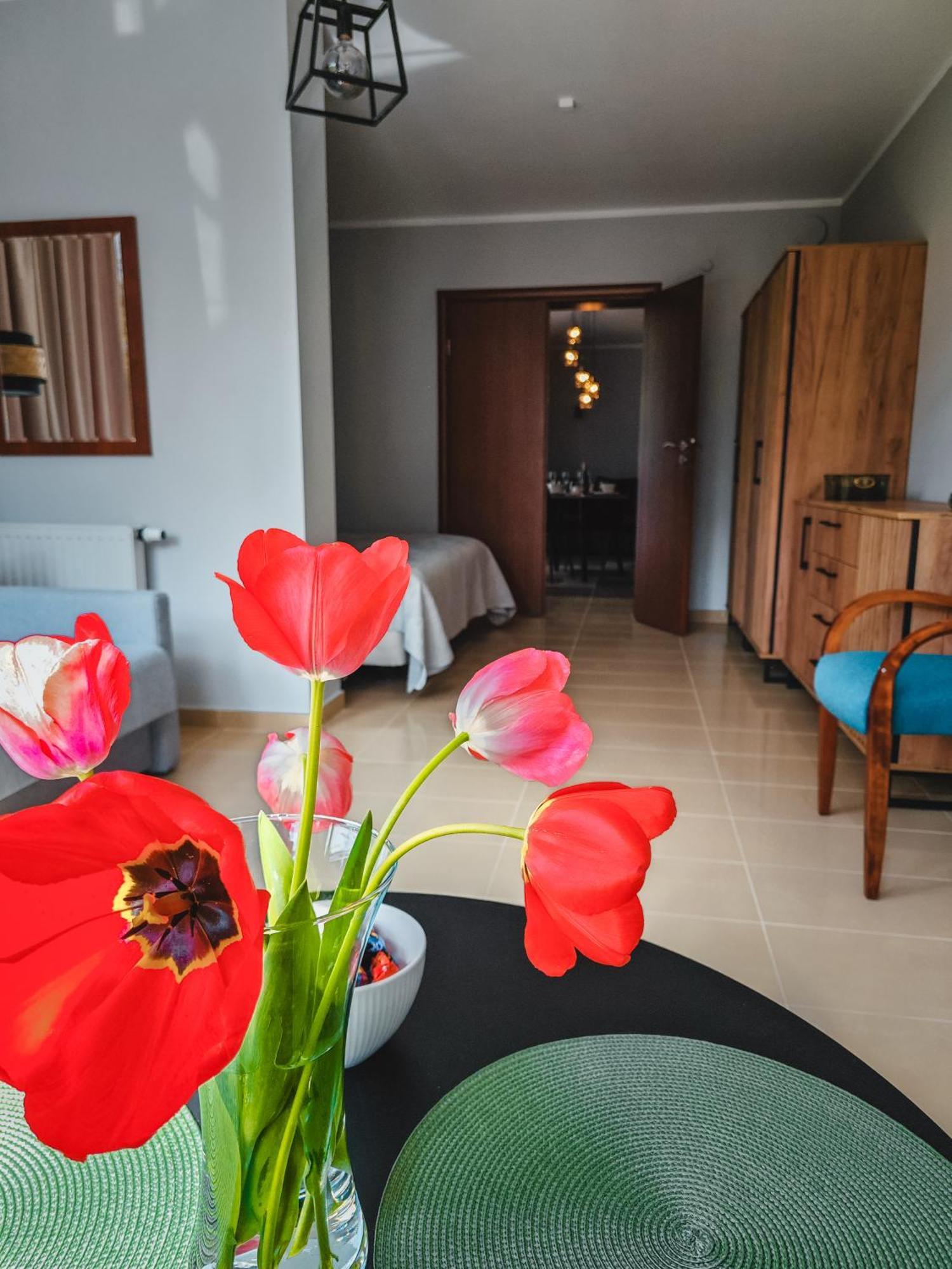Ava Relax Apartments ชวีโนวิชแจ ภายนอก รูปภาพ